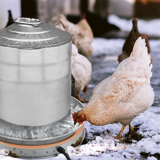 Poultry Chicken Water Heater Chicken Water Heater Base for Winter
