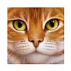 Cat | Full Round/Square Diamond Painting Kits | 20x20cm | 30x30cm