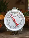 Fish Scales with 2 Hooks Mechanical Pointer Hook Scale Practical Handheld Scale