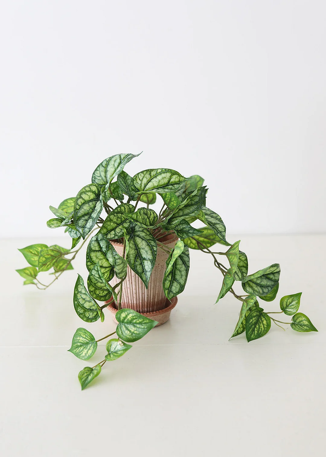 UV Protected Peperomia Fake Hanging Plant - 19.5"