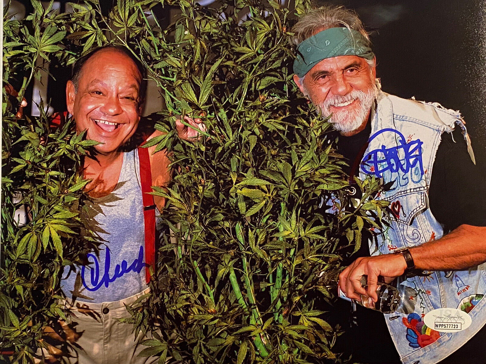 Cheech and Chong Autograph 8x10 Photo Poster painting Signed JSA COA Stoner, weed,