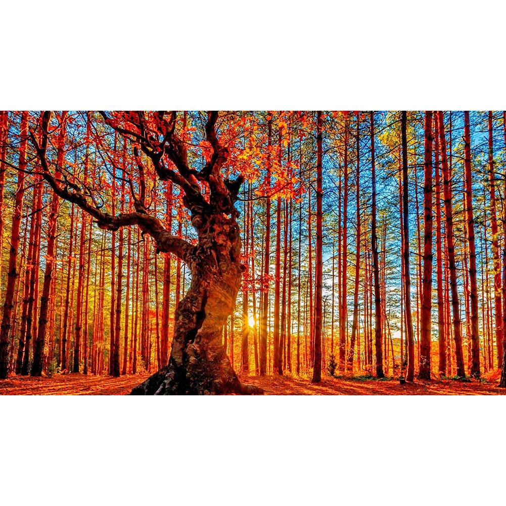 

85*45CM-Round Drill Diamond Painting-Woods Sunrise, 501 Original