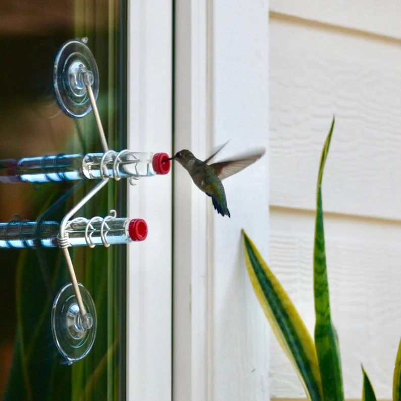 🔥Last Day 70% OFF🔥Geometric Window Hummingbird Feeder🐦