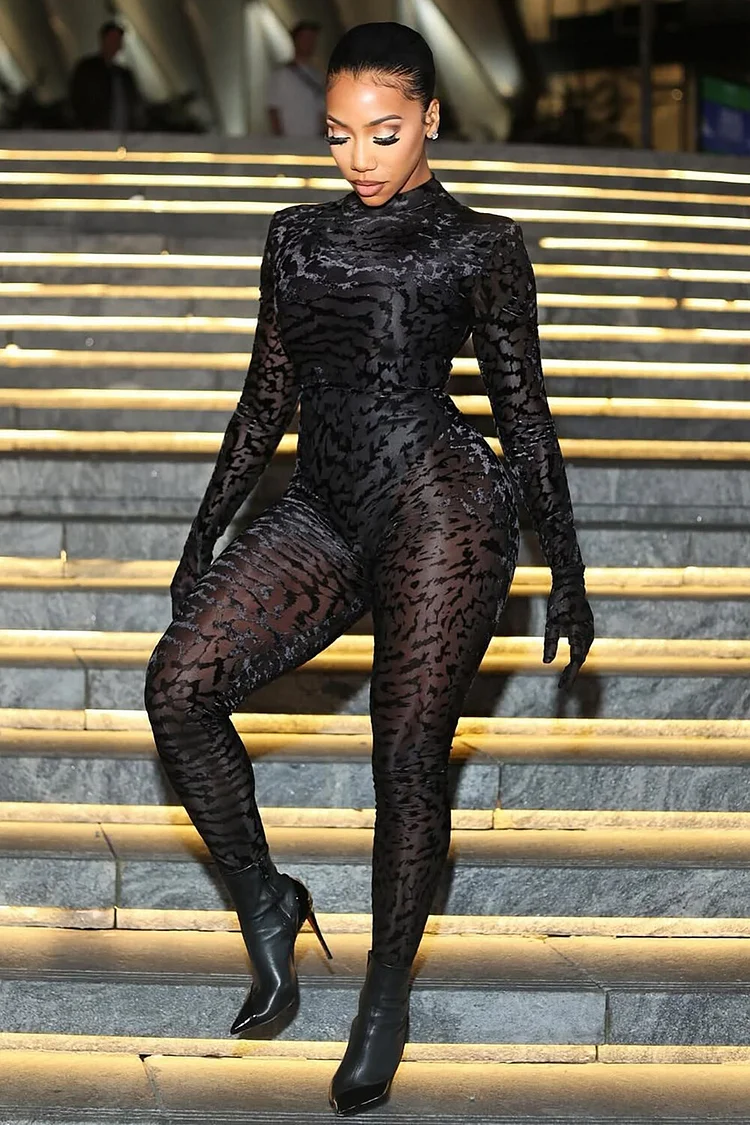 Flocking Pattern Long Sleeve Mesh Skinny Jumpsuit-Black