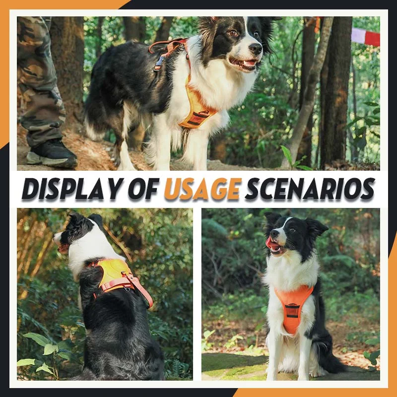 Pet Teeth Cooling Toy