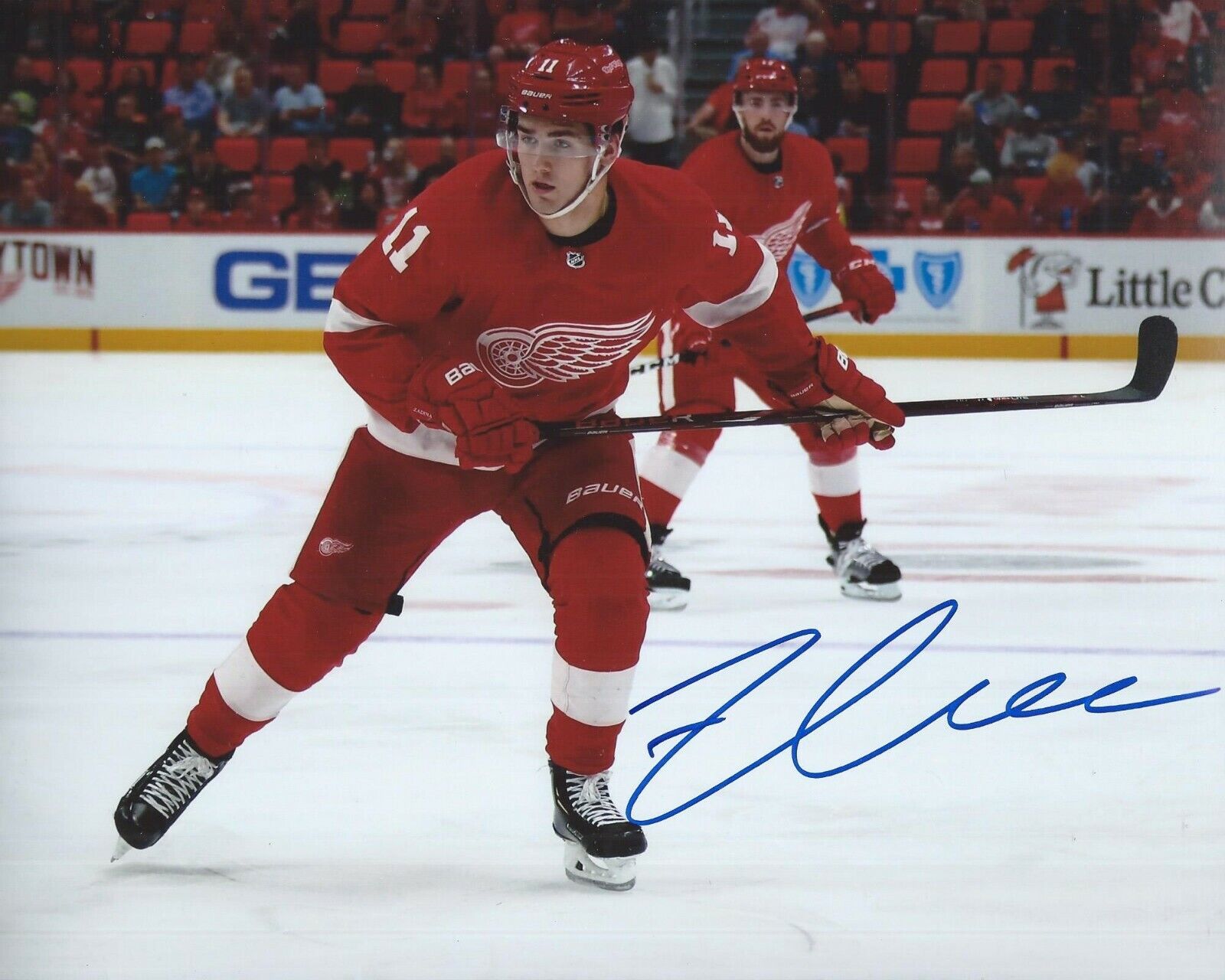 Filip Zadina Signed 8x10 Photo Poster painting Detroit Red Wings Autographed COA D