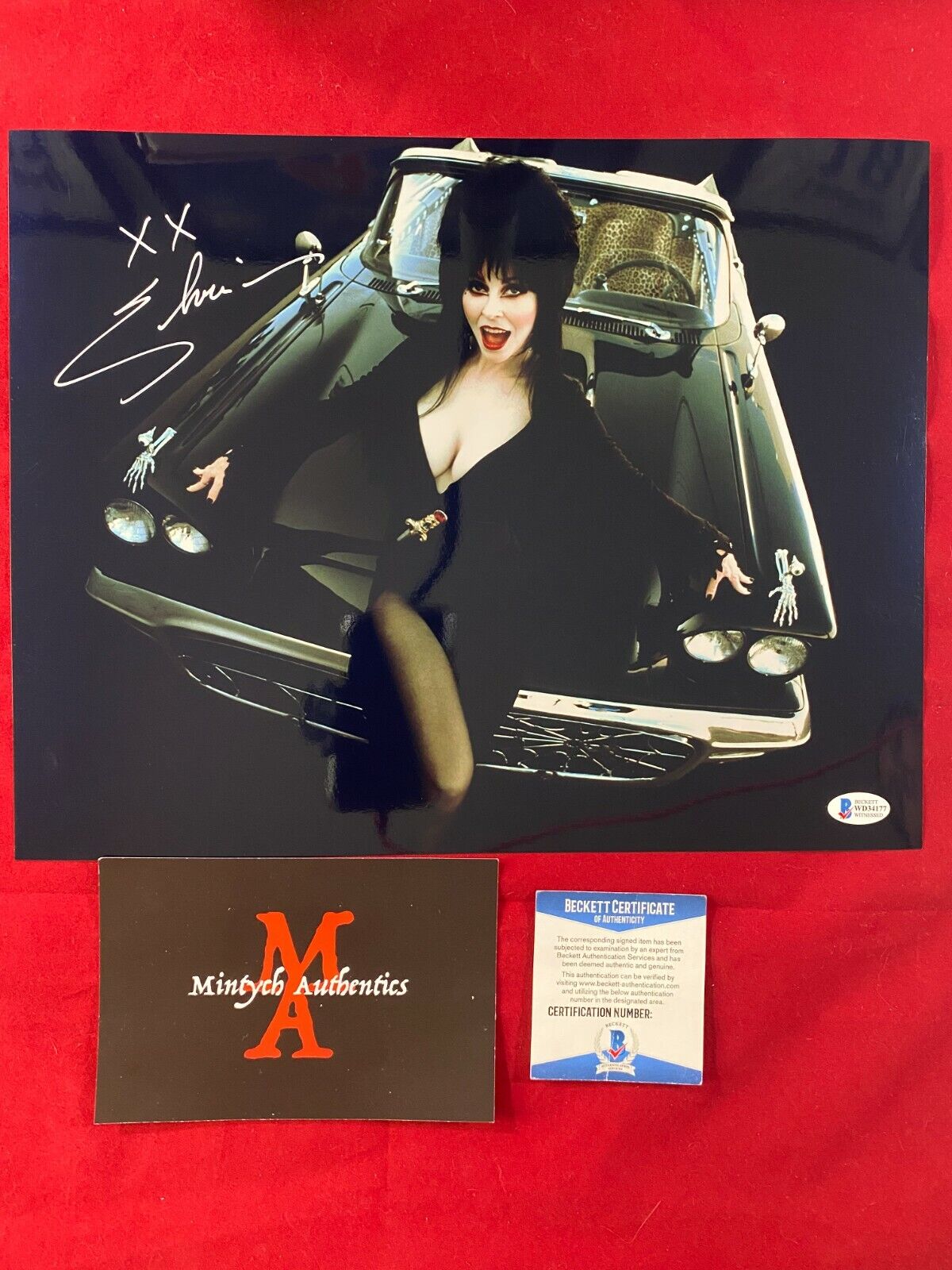 ELVIRA CASSANDRA PETERSON AUTOGRAPHED SIGNED 11x14 Photo Poster painting! BECKETT COA! HORROR!