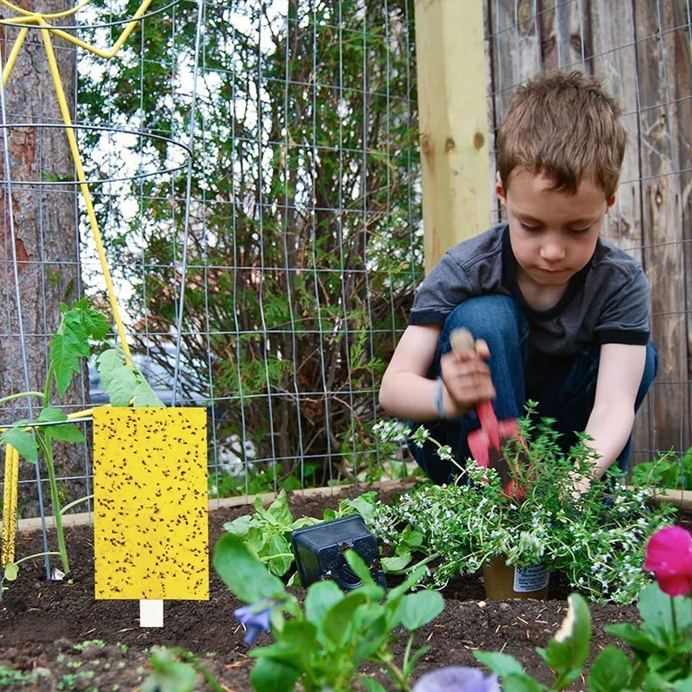 50pcs Strong Flies Traps Bugs Sticky Board Catching Insects Pest Killer