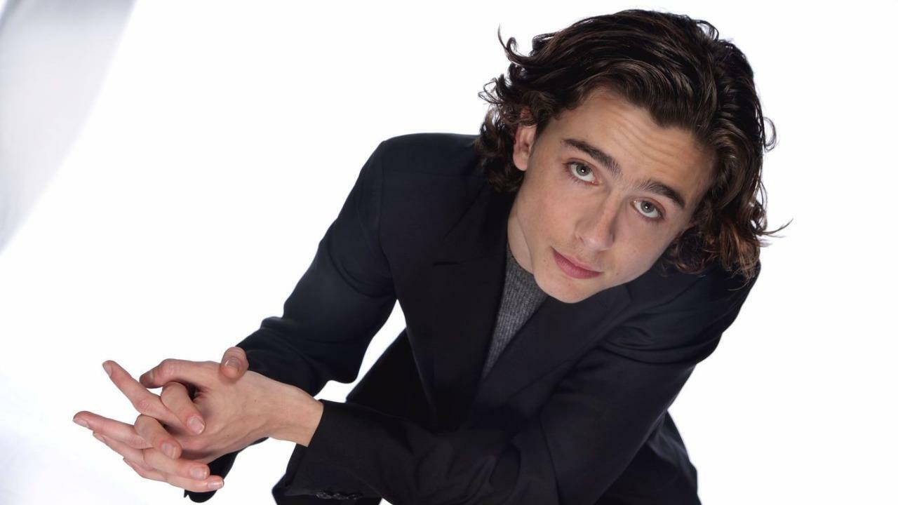 Timothee Chalamet 8x10 Picture Simply Stunning Photo Poster painting Gorgeous Celebrity #13