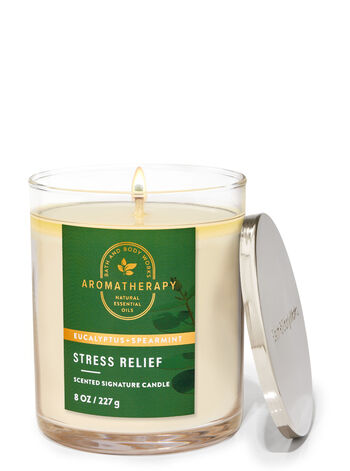 AromatherapyEucalyptus SpearmintSingle Wick Candle
