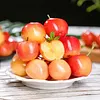 🍒Nasiona wiśni Rainier, wskaźnik przeżywalności 90%, bezpłatny zwrot pieniędzy w przypadku braku zadowolenia
