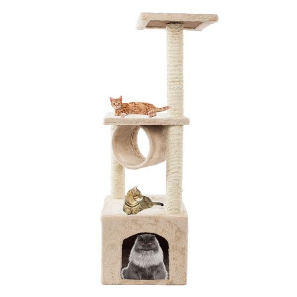Cat Climb Tree