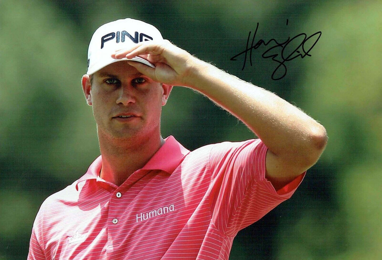 Harris ENGLISH SIGNED 12x8 Photo Poster painting 1 AFTAL Autograph COA US PGA Golf Golfer