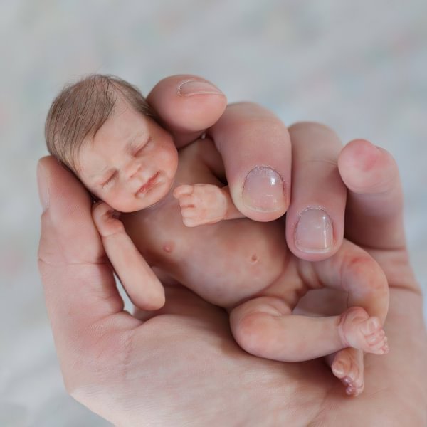 Miniature Doll Sleeping Reborn Baby Doll, 6 inch Realistic Newborn Baby Doll Named Andrea