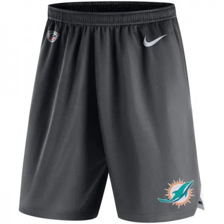 Men's Miami Dolphins  Charcoal Knit Performance Shorts