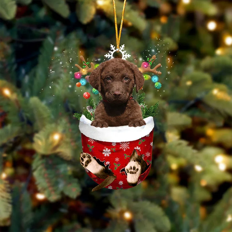 Chesapeake Bay Retrievers In Snow Pocket Christmas Ornament.