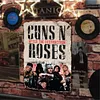 Guns N' Roses - Vintage Metal Signs(8*12Inch) - Music