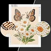 Diamond Painting-DIY Sparkling Special Shaped Pearl Drill Daisies and Butterfly(30x40cm)