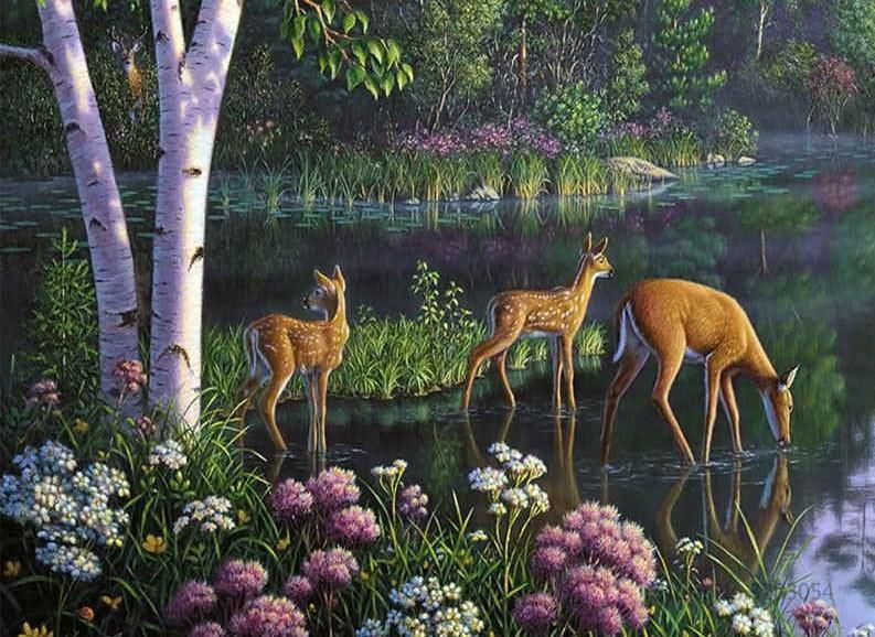 

Deer Drink in Forest – Paint By Numbers - 40*50CM, 501 Original