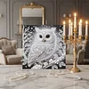 (Pre-Framed)White Owl-Special Shape Diamond Painting Kit(25x25cm)