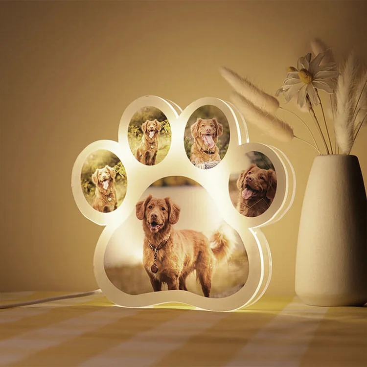 Dog Paw Night Light Personalized 5 Photos 3D Lamp for Family