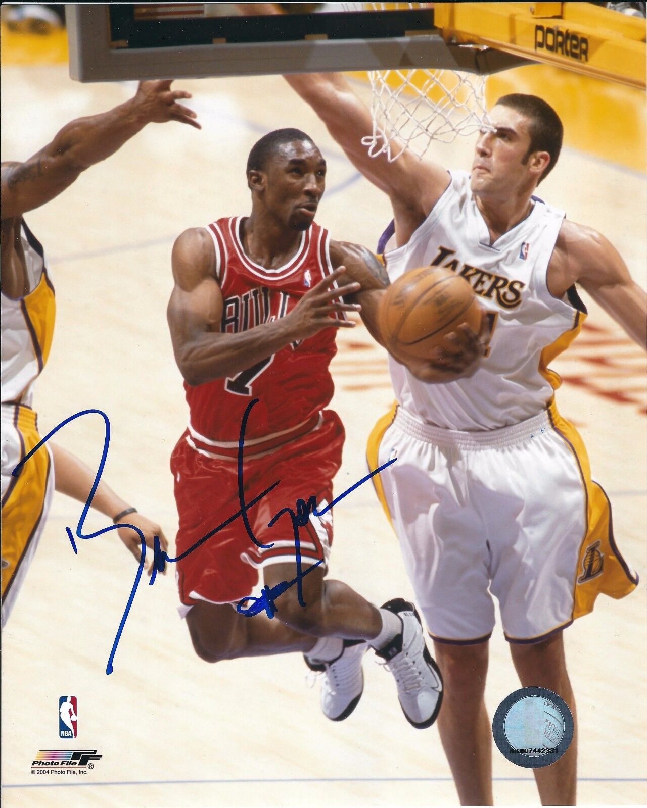 Signed 8x10 BEN GORDON Chicago Bulls Autographed Photo Poster painting w/COA