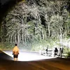 LED Camping Flashlight Portable Handheld Light Waterproof for Hiking Climbing