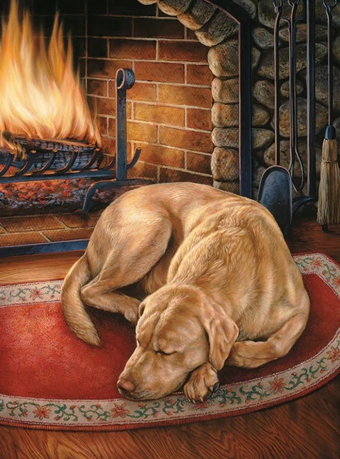 Vizsla Dog - 5D Diamond Painting 