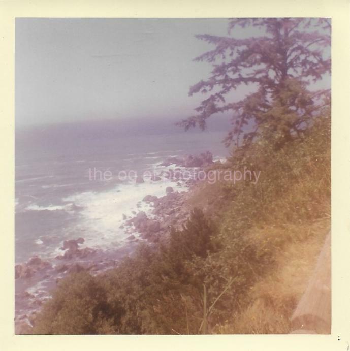 Patrick's Point FOUND Photo Poster painting Color CALIFORNIA COAST Original Snapshot 910 10 F