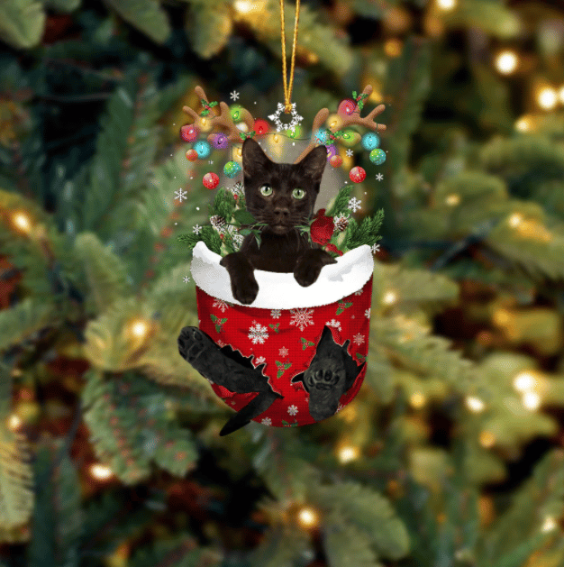 Havana Brown Cat In Snow Pocket Ornament