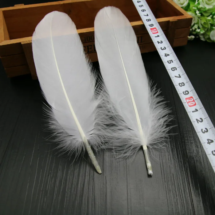 Feathers for Dream Catcher 100 Pcs F07