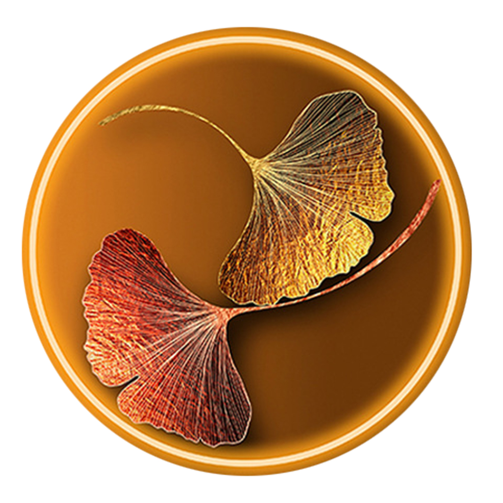 

Ginkgo Leaves - 11CT Stamped Cross Stitch - 60*60CM, 501 Original