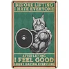 Cat - Vintage Metal Signs - 20*30cm