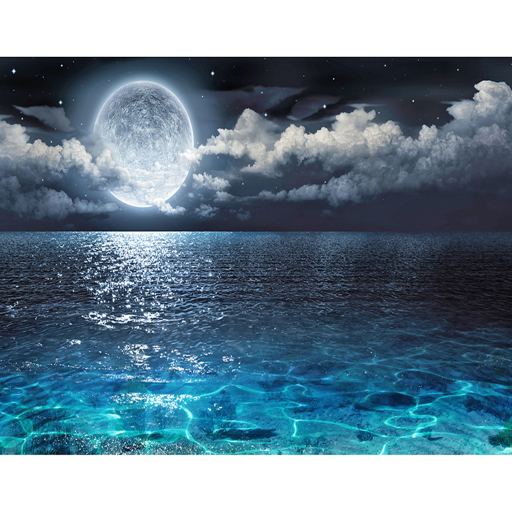 

50*40CM - Square Drill Diamond Painting - Seaside Night View, 501 Original