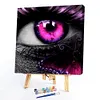uk.everydayedeals (Limited Stock)Paint By Number - Oil Painting -  Eye (40*40Cm)