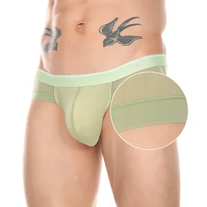 Men's Sexy Ice Silk Mesh Transparent Panties