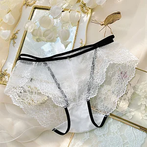 Lace Pure Desire Mesh Sexy Transparent Briefs