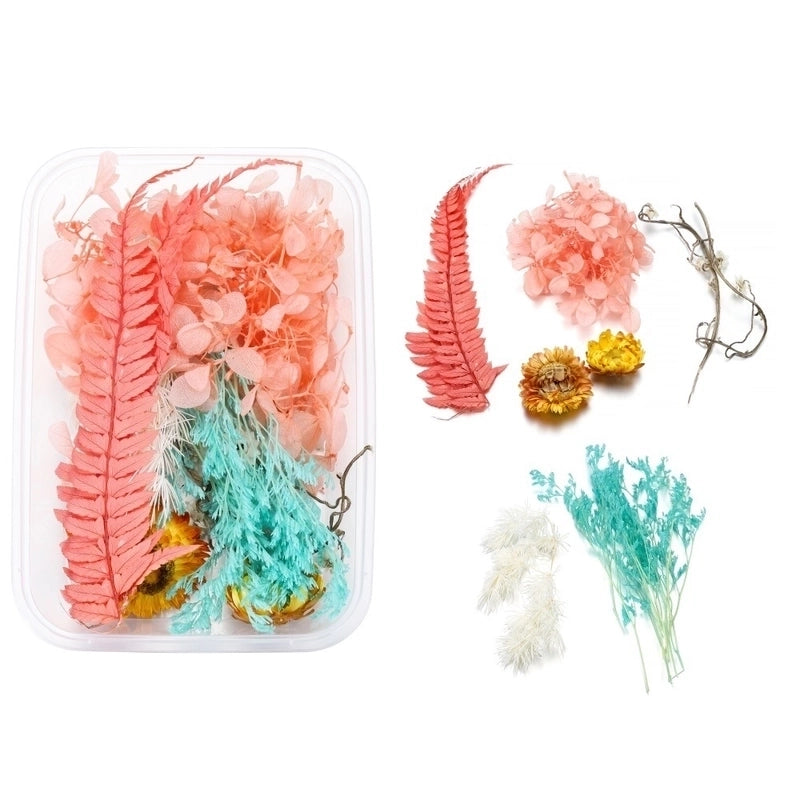 Flower Dried Flower Party Dried Flower