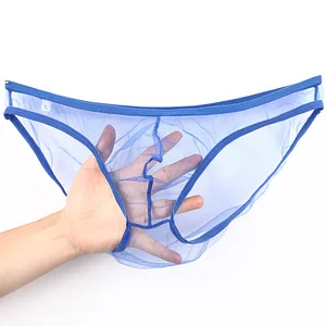 Men's Low Rise Sexy Mesh Sheer See Through Breathable Briefs