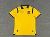 Joyfball 2025 Ecuador National Team Away Soccer Jersey 1:1 Thai Quality