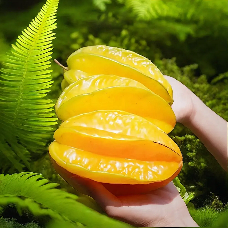Sweet Carambola-Star Fruit Seeds⭐Exotic Bounty