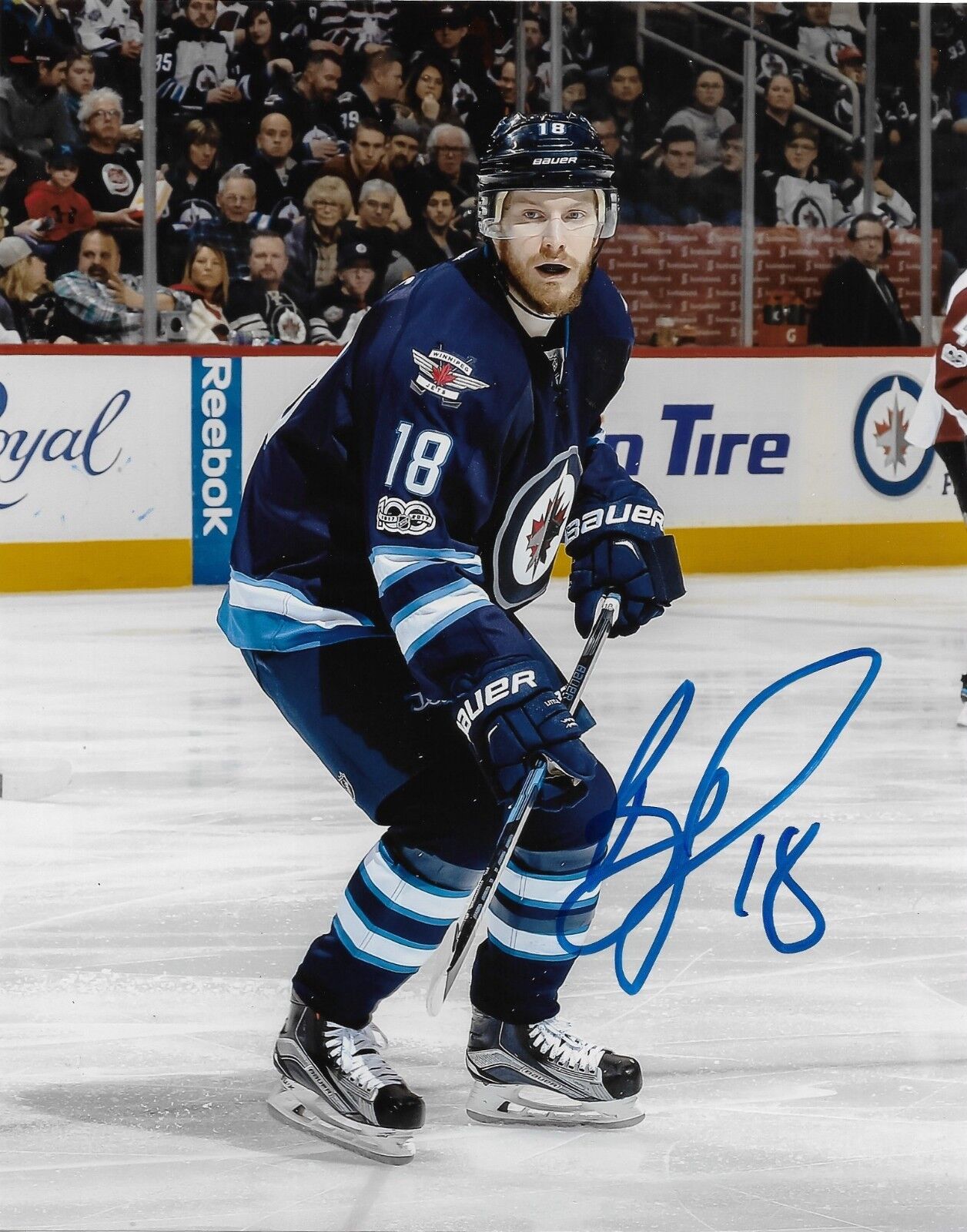 Winnipeg Jets Bryan Little Autographed Signed 8x10 NHL Photo Poster painting COA #4