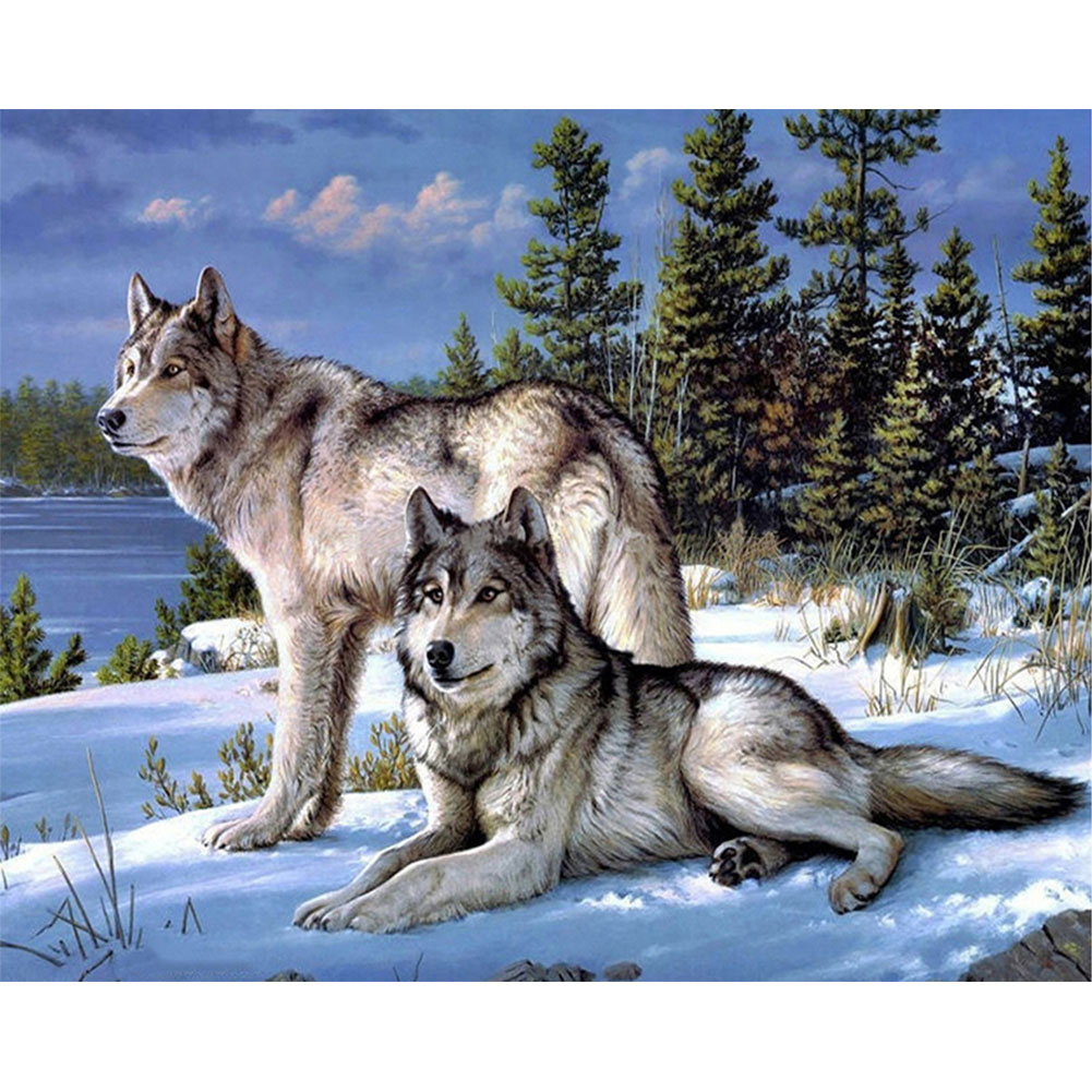 

Two Wolves - Round Drill Diamond Painting - 50*40CM, 501 Original
