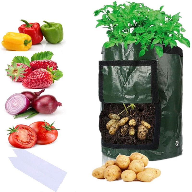 

Potato Sweet Potato Planting Bag Tomato Vegetable Growing Bag, 501 Original