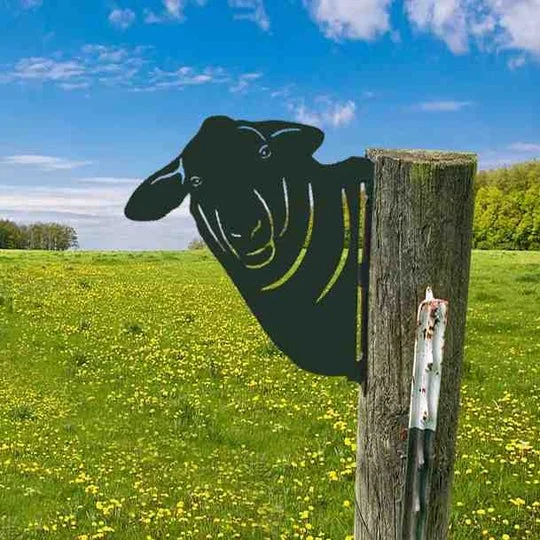 Mouton The art of metal voyeur