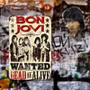 Bon Jovi - Metal Tin Signs(8*12Inch/12*16Inch)