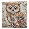 Framed Diamond Painting - Special Shaped - Owl(25x25cm)