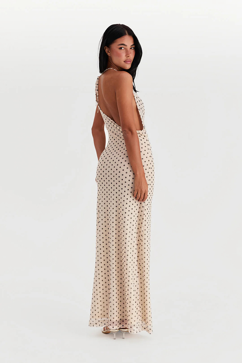 Fiora Maxi Dress Polka Dot (5).jpg