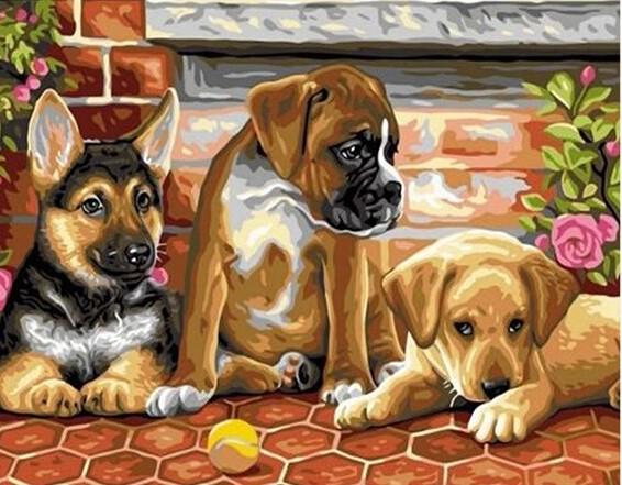 

Puppies With A Tennis Ball – Paint By Numbers - 40*50CM, 501 Original