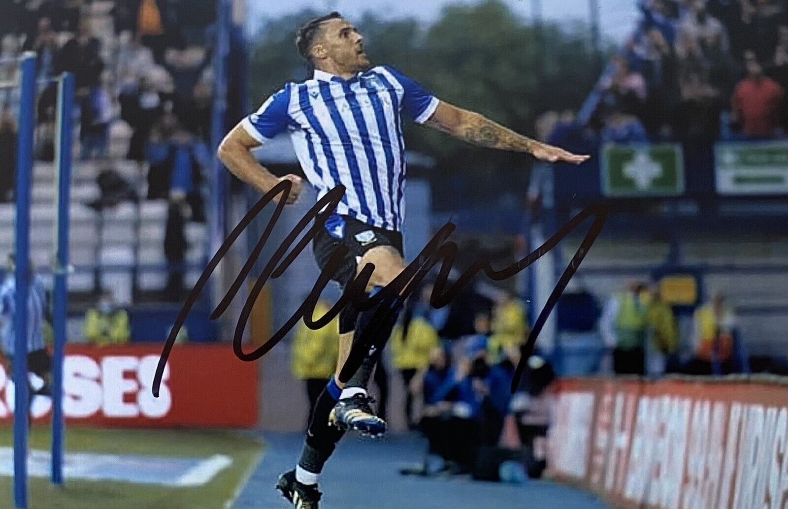 Lee Gregory Genuine Hand Signed Sheffield Wednesday 6X4 Photo Poster painting 3